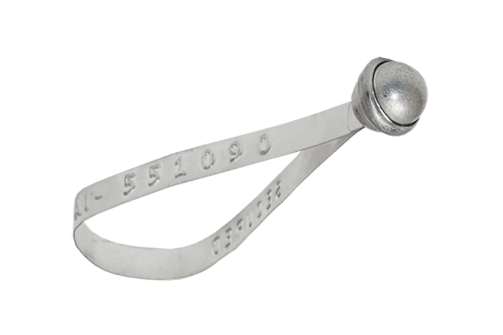 Globe Metal Metallbandplombe
